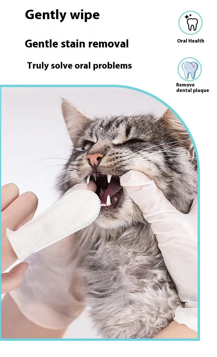 Pack of 50 disposable non-woven fabric pet dental cleaning finger stalls for dogs and cats