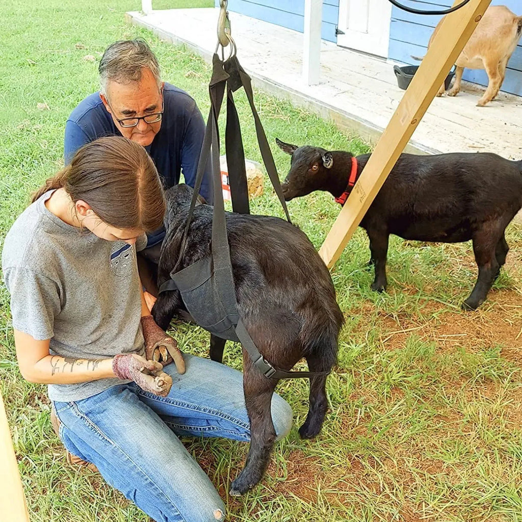 Black woven fabric sling for weighing calves and large dogs, shown with four attachment loops.