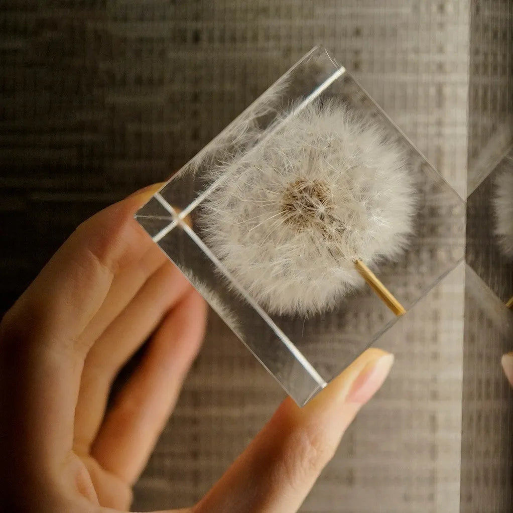Clear 5cm resin cube containing a preserved white dandelion flower on a wooden USB charging base.