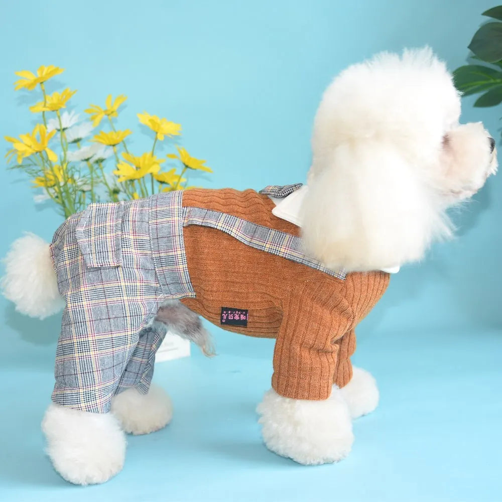 A small dog wearing a dark blue cotton shirt, showing the standard shirt fit on a pet.