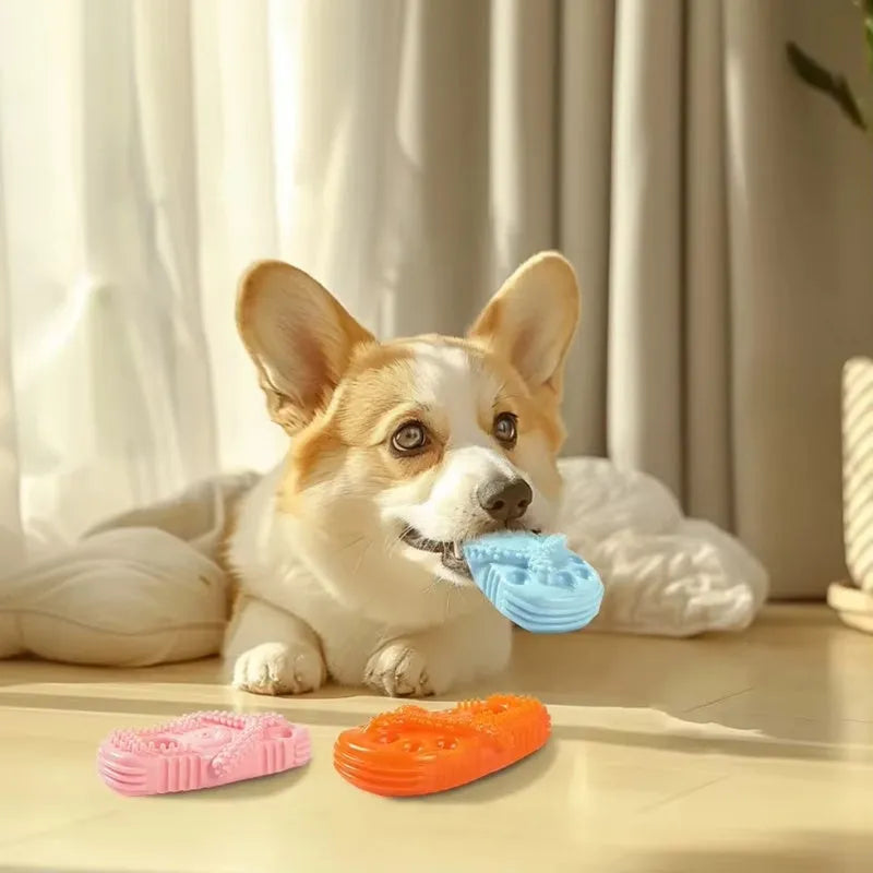 Rubber slipper-shaped dog chew toy for puppies and small to medium dogs in blue, green, orange or pink
