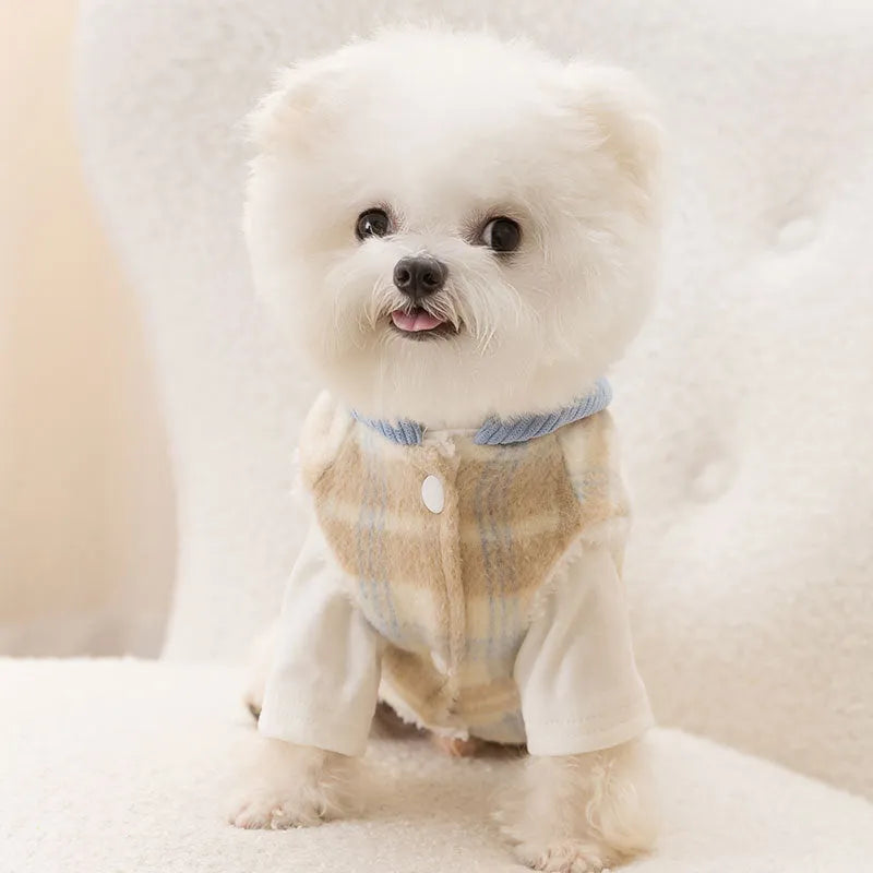 Blue corduroy dog vest with chessboard grid pattern and adjustable hood for winter wear