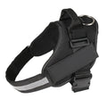 Customisable adjustable dog harness with reflective trim shown on a dog.