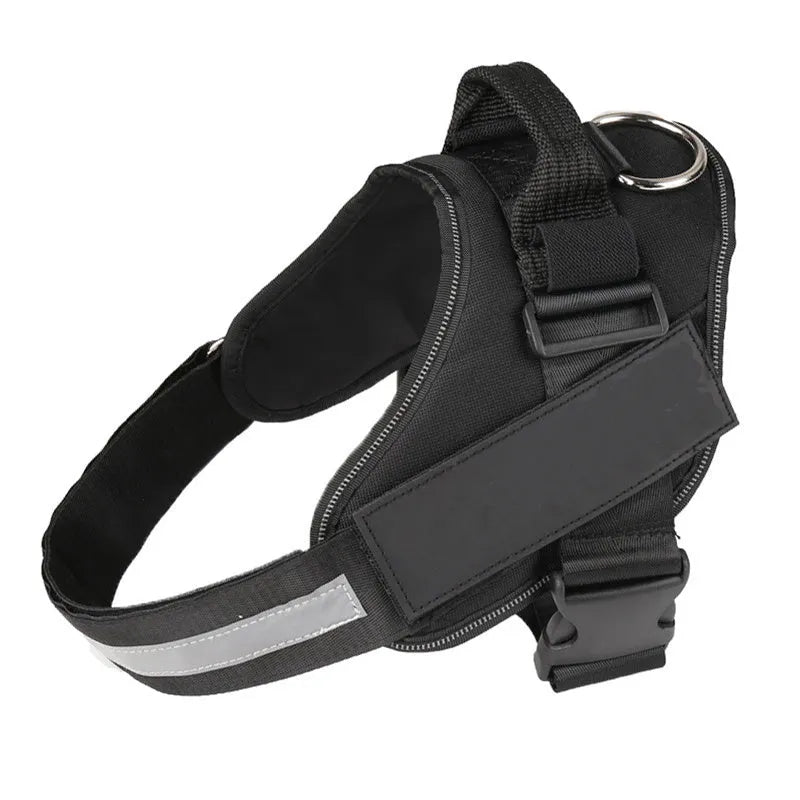 Customisable adjustable dog harness with reflective trim shown on a dog.