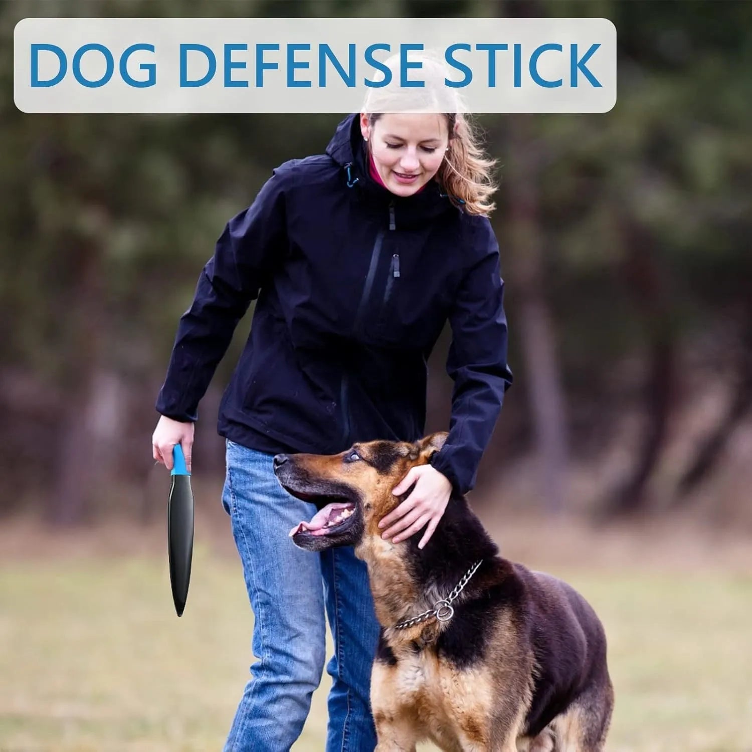 Blue handled nylon dog break stick for training small and medium dogs, shown at 35cm length.