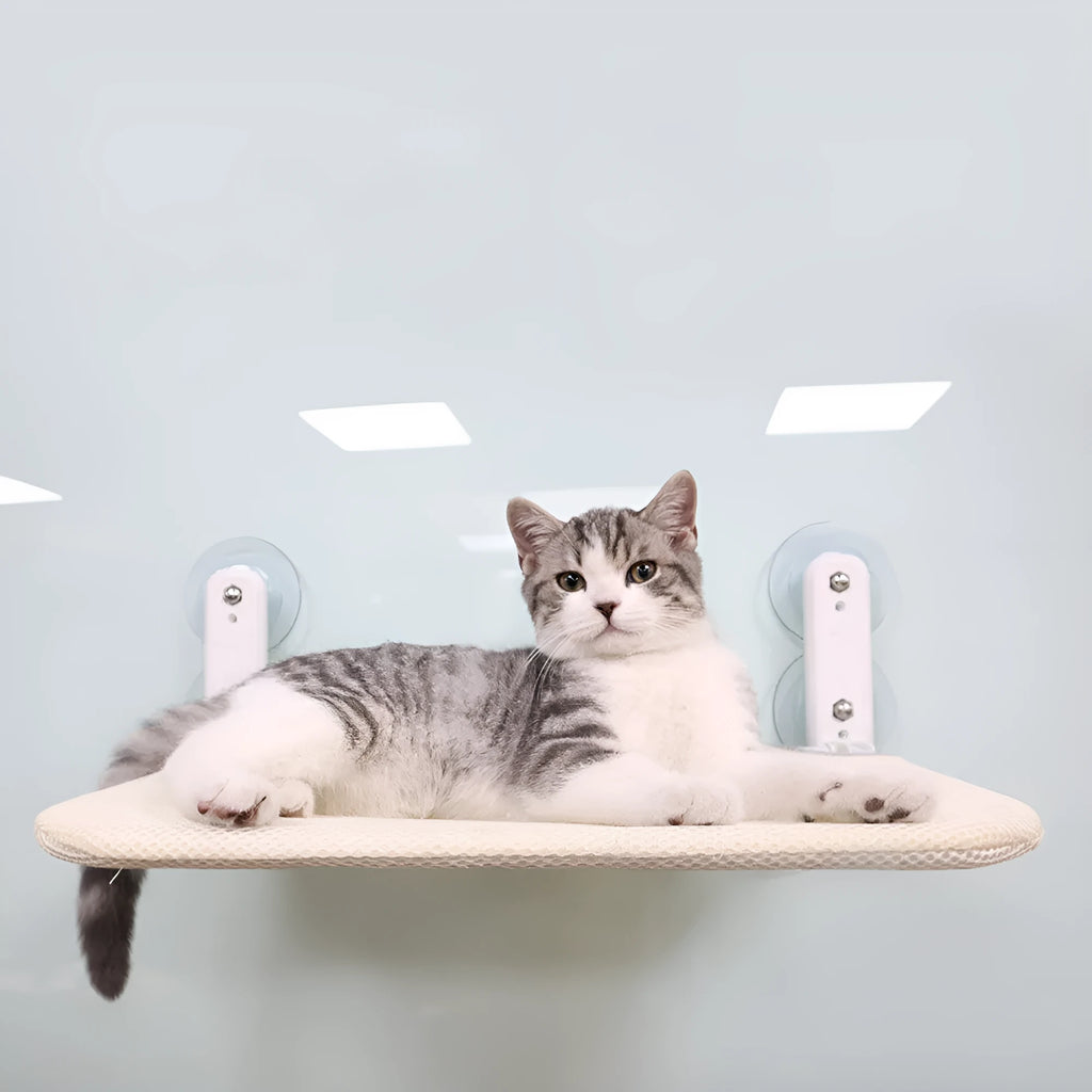 Cat resting on a grey mesh window hammock attached with stainless steel suction cups
