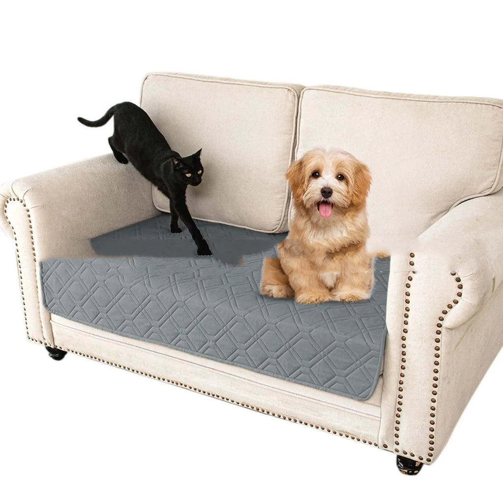 Double-sided waterproof dog sofa cushion showing dark grey and light grey reversible sides on a sofa.
