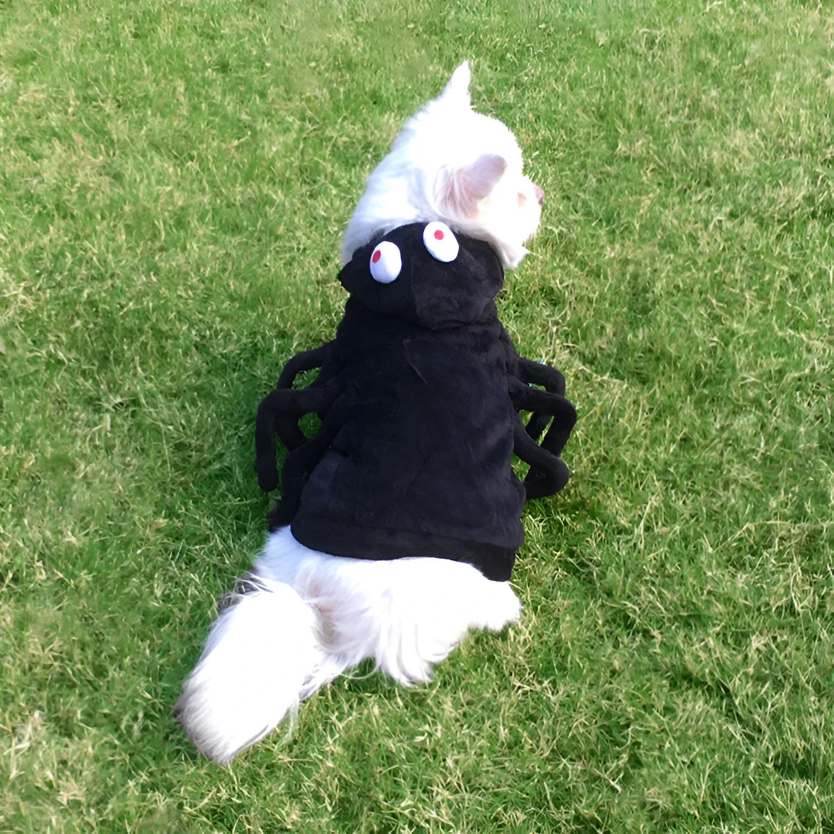 Dog wearing black spider pattern Halloween costume with polyester construction