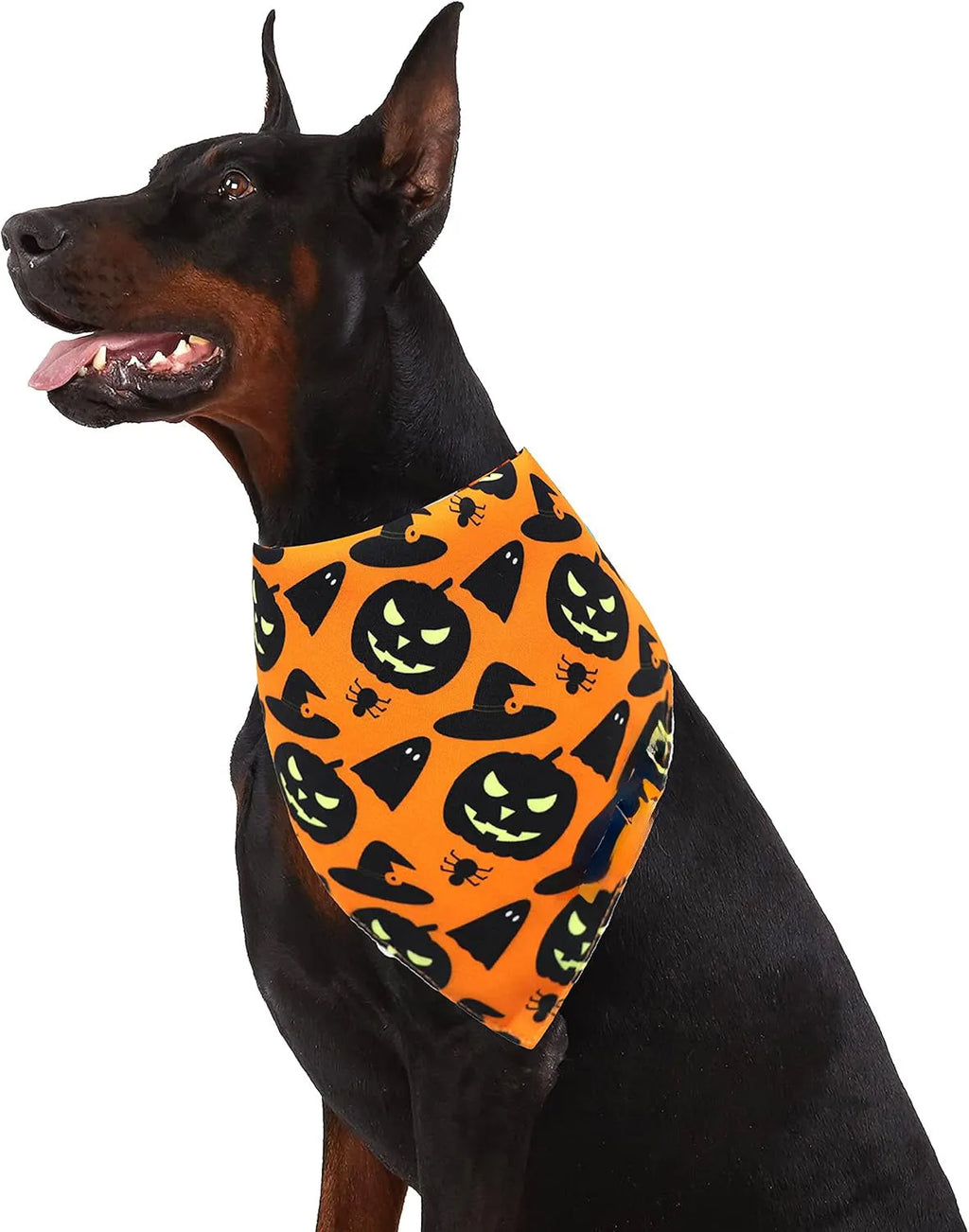 Black and orange reversible Halloween dog bandana showing pumpkin and spider web patterns with adjustable neck closure