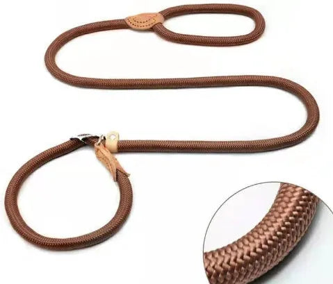 Brown nylon dog lead with P-chain handle showing rope-style construction