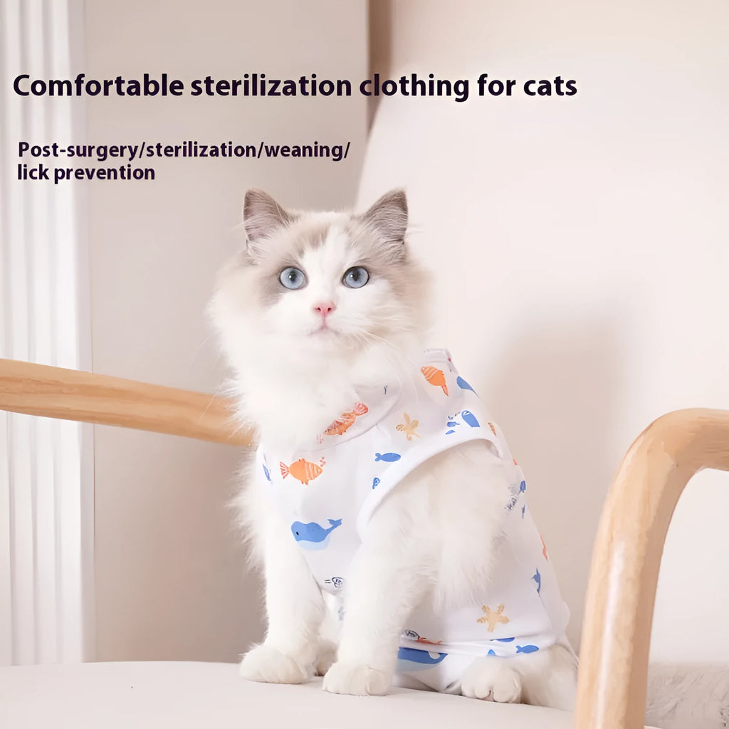 Cat wearing a blue patterned post-surgery recovery suit with velcro fastenings on its back.