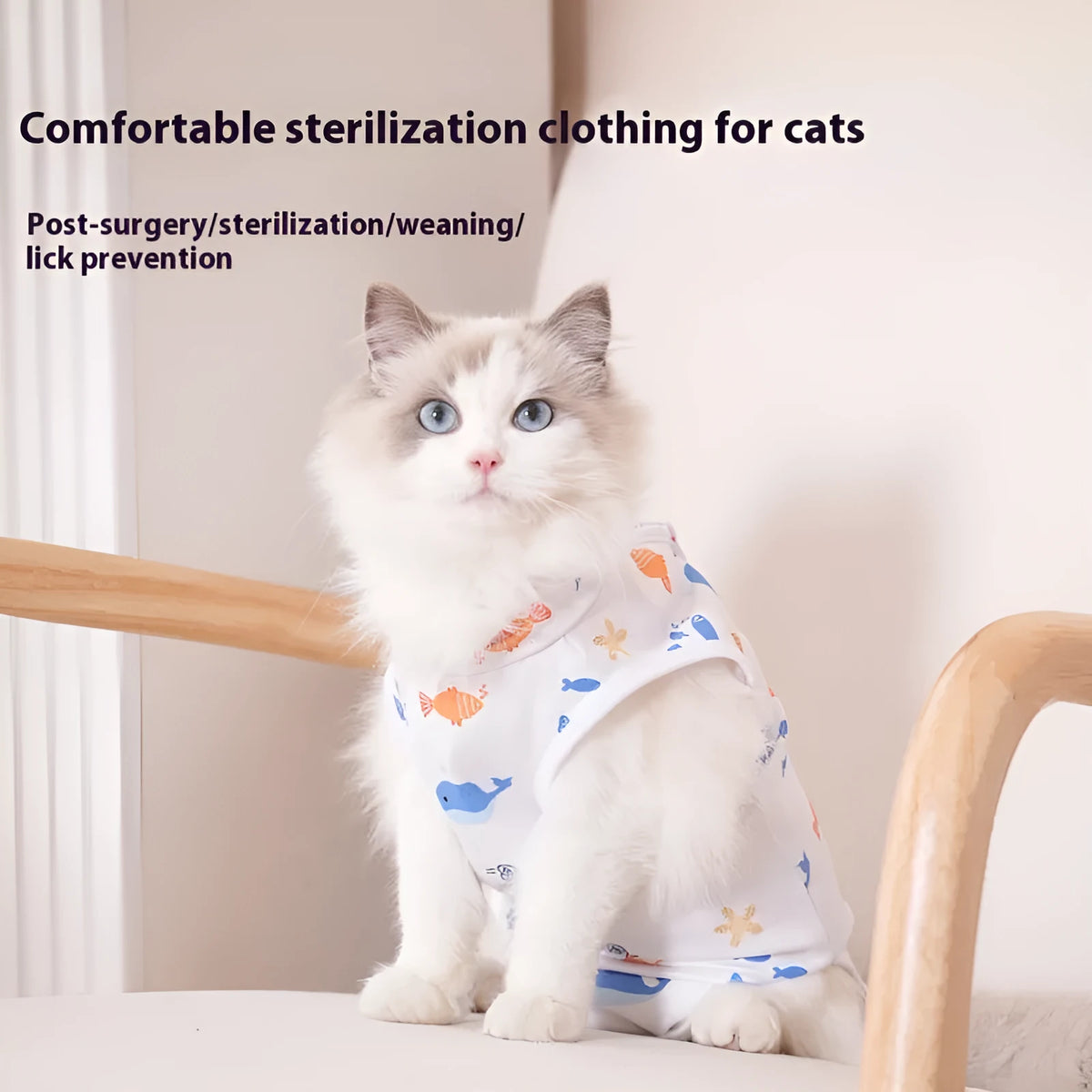 Cat wearing a blue patterned post-surgery recovery suit with velcro fastenings on its back.
