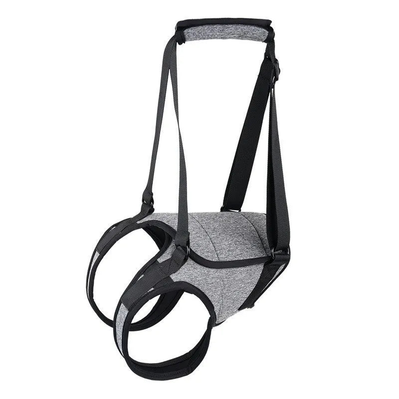Grey neoprene dog rear leg recovery belt showing adjustable waist and thigh straps on a size chart.