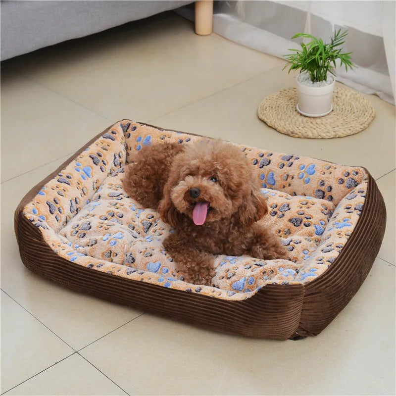 Beige plush pet bed with raised sofa-style edge and removable cushion for small dogs