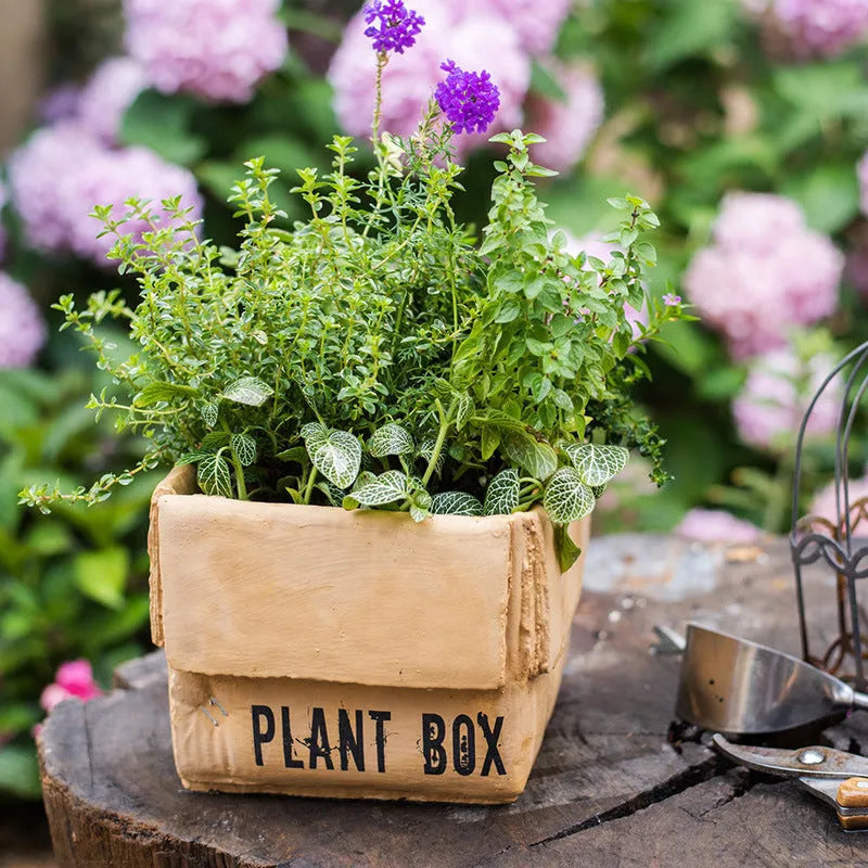 Cement brown paper box flowerpot with drainage holes for indoor balcony planting in Nordic style