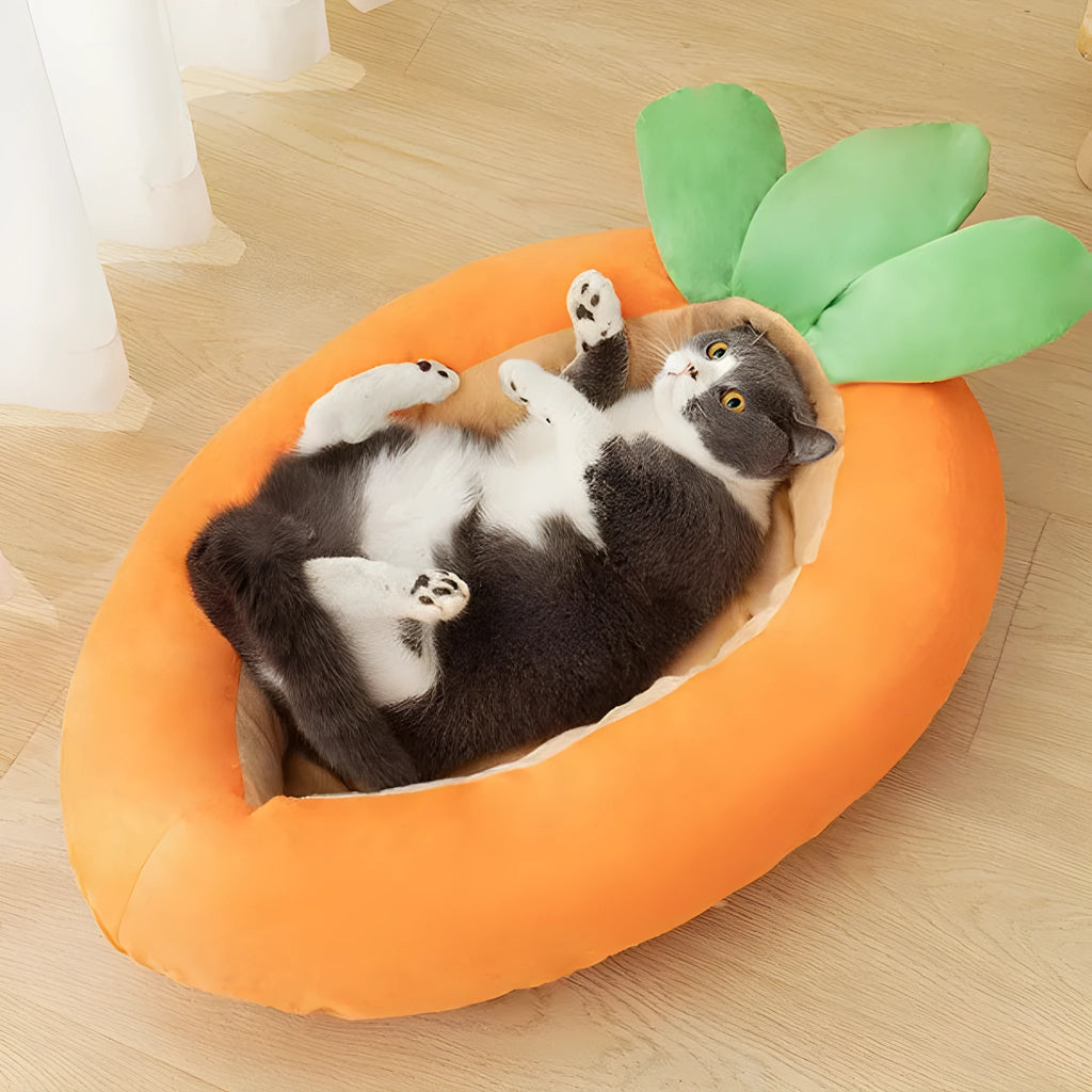 Carrot cartoon pet mattress with removable washable cloth cover for dogs