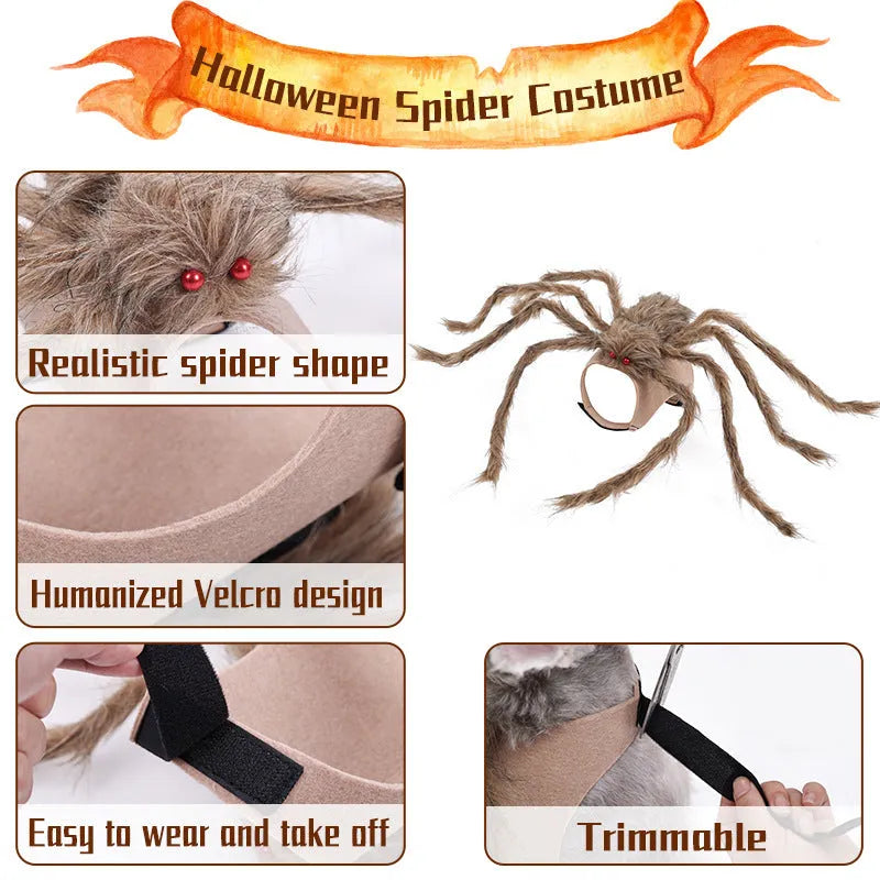 Halloween spider costume for a dog or cat on a grey background