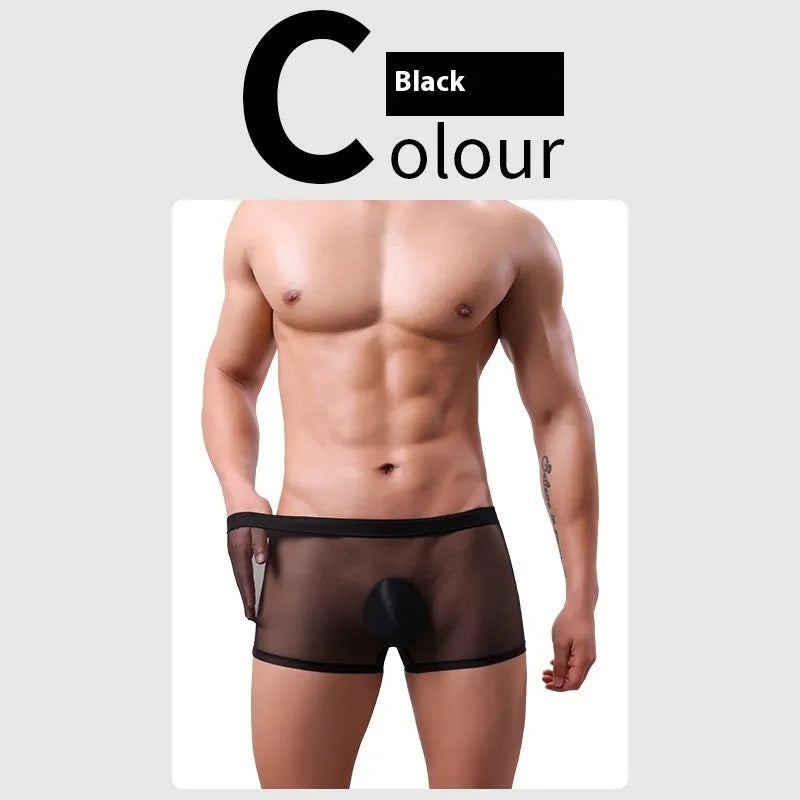 Men's mesh boxer briefs in various colours showing thin sheer fabric and low waist design.