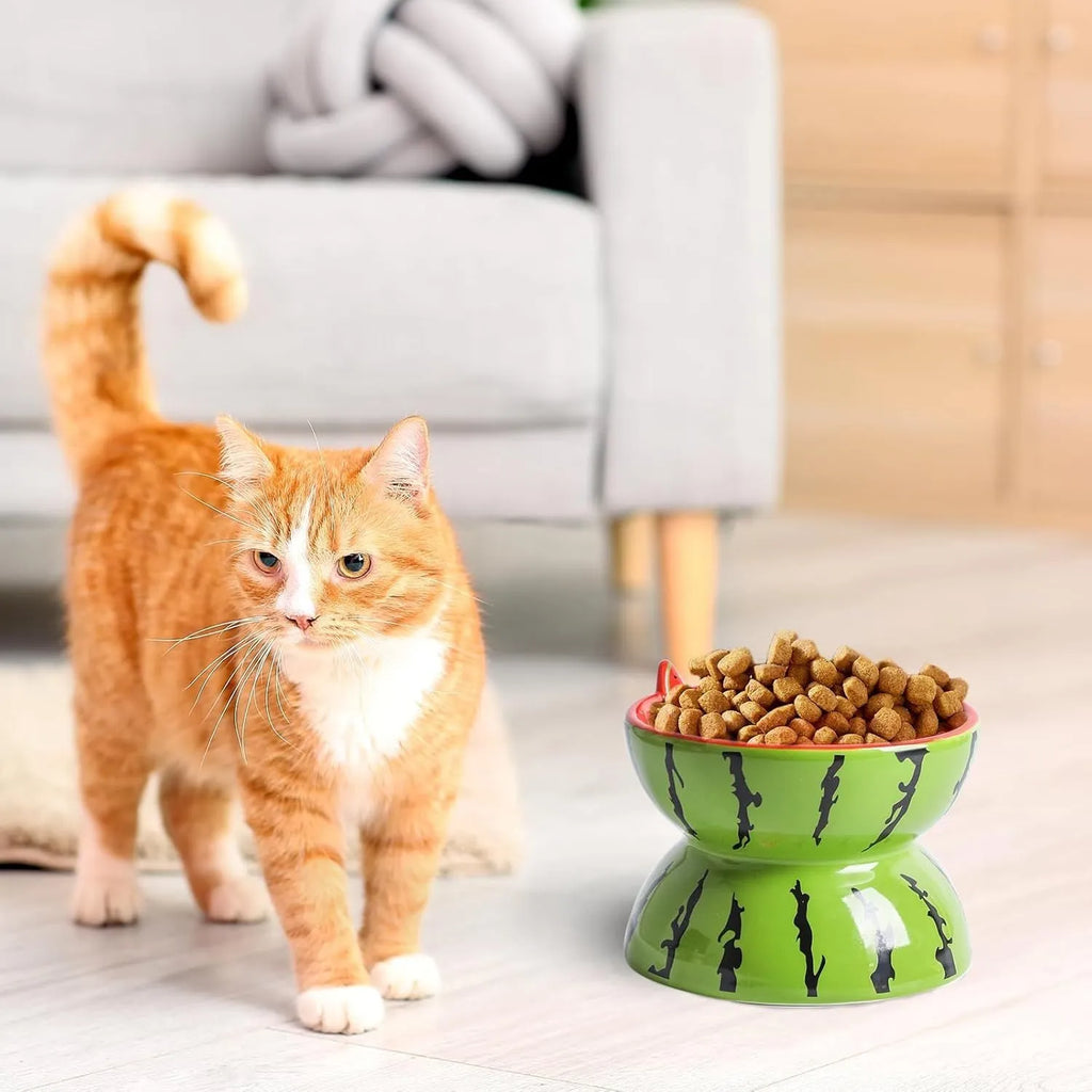 Ceramic tilted and elevated cat food bowl in orange pattern with non-slip base.