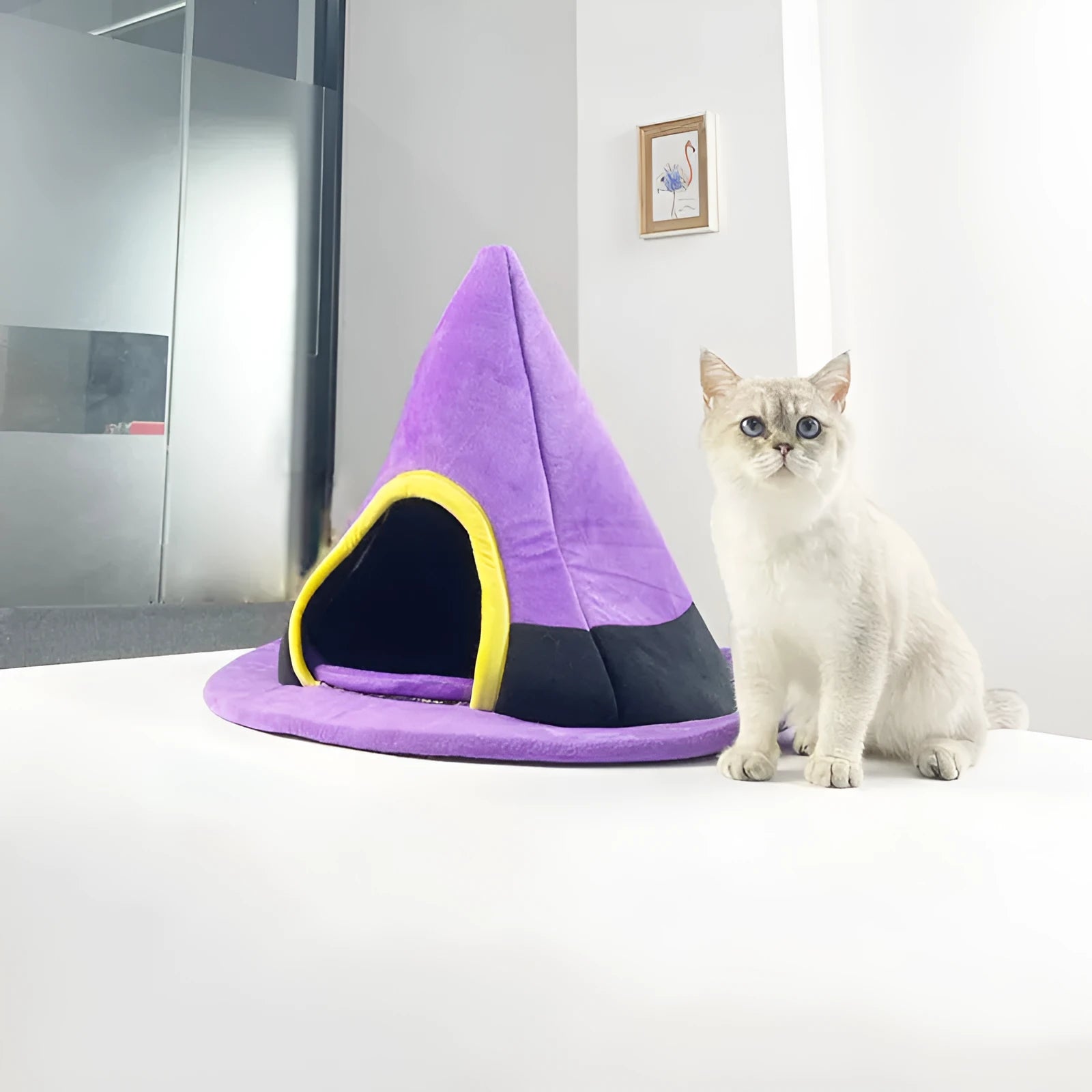 Purple Halloween witch hat shaped cloth cat nest bed measuring 60cm by 45cm.