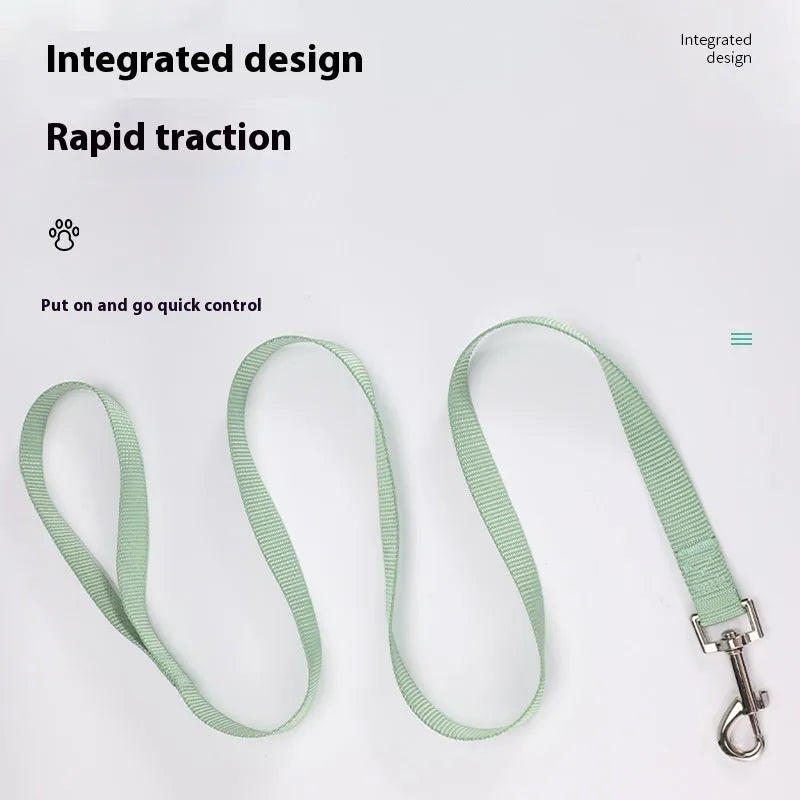Solid colour polyester dog leash in hand holding rope design showing multiple colour options and size specifications