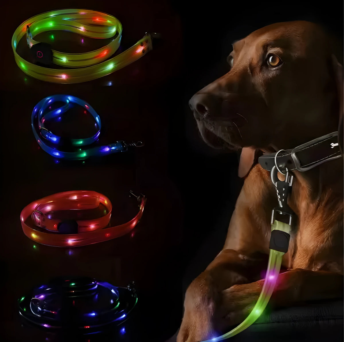 Luminous PVC dog collar with pet rope lead in fluorescent green colour option