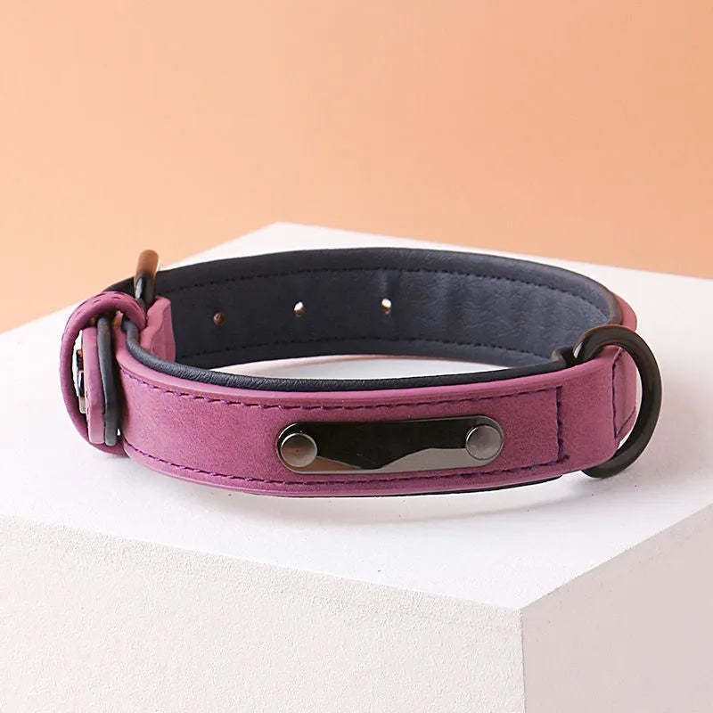 Adjustable anti-loss dog collar showing double-layer thickening construction in available colour options