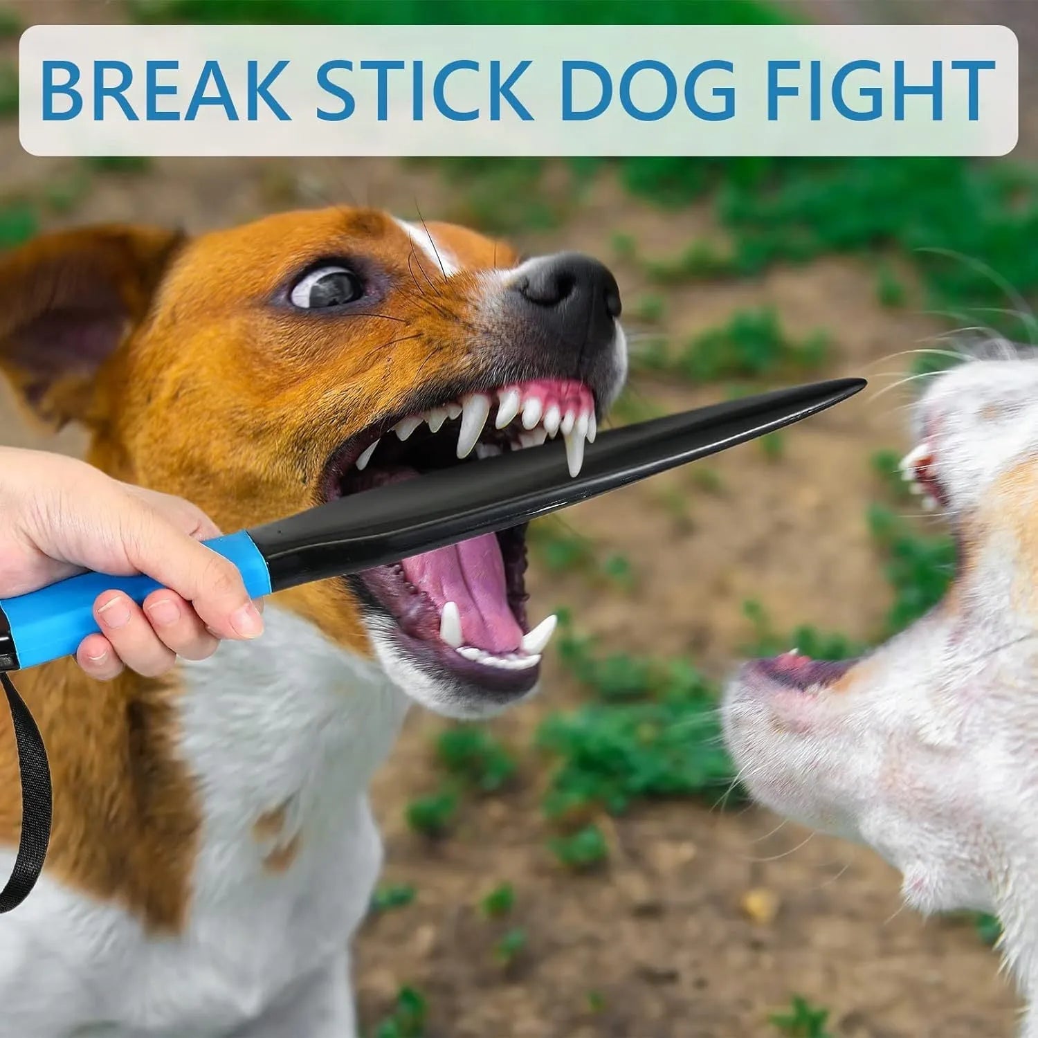 Blue handled nylon dog break stick for training small and medium dogs, shown at 35cm length.