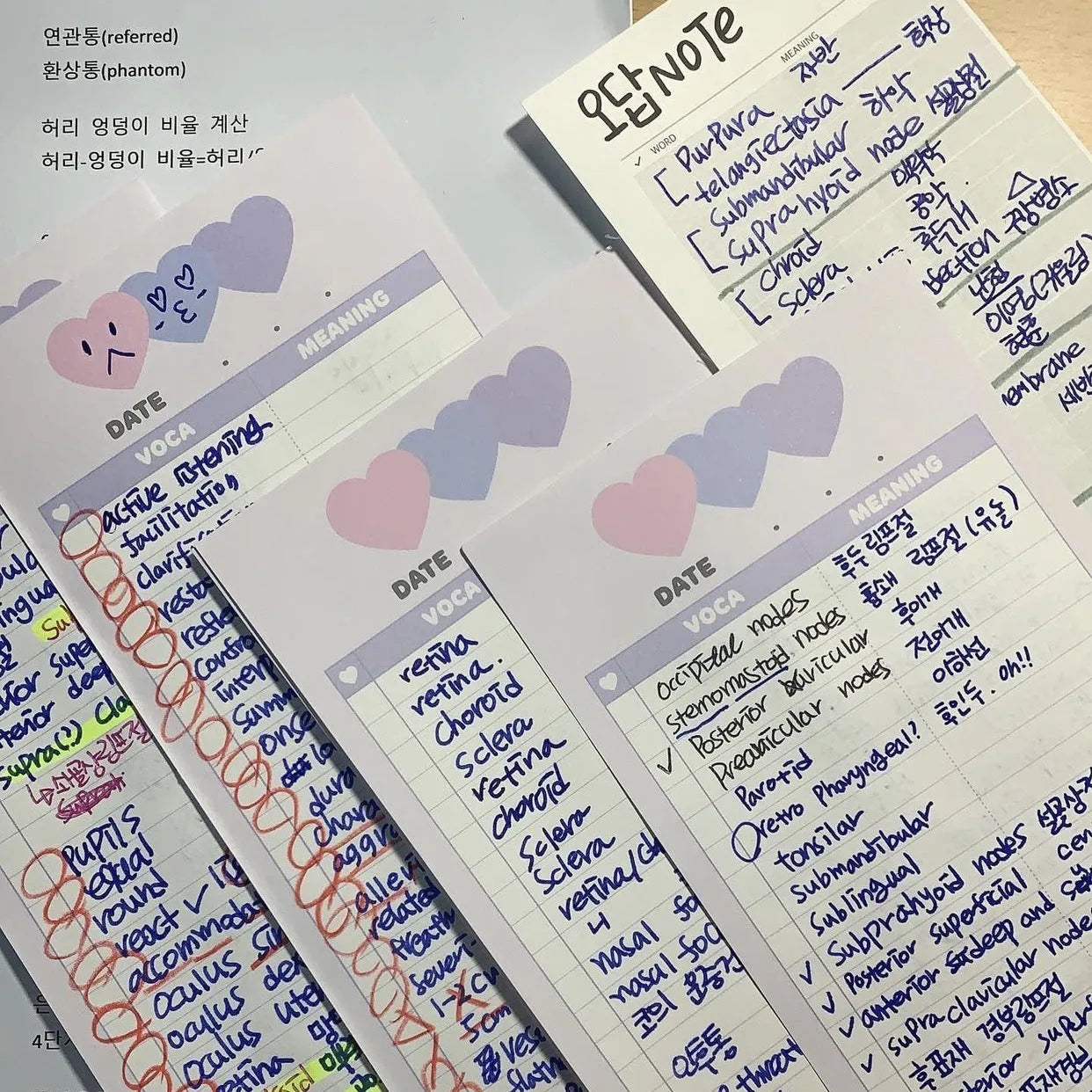 Vertical half-B5 notepad with double-sided printing in pink, purple, or blue cover colours