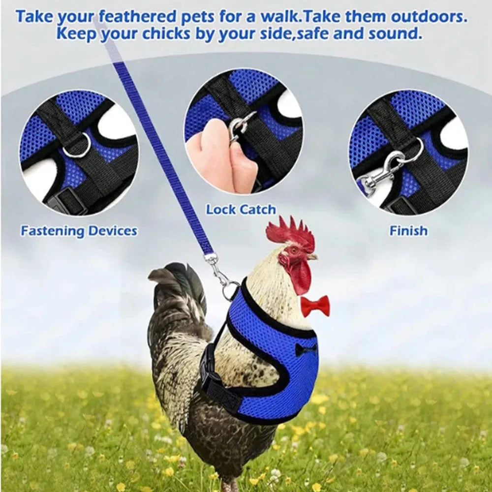 Coloured poultry vest harness and matching collar with bow set for chickens or ducks, shown with a 110cm lead rope.