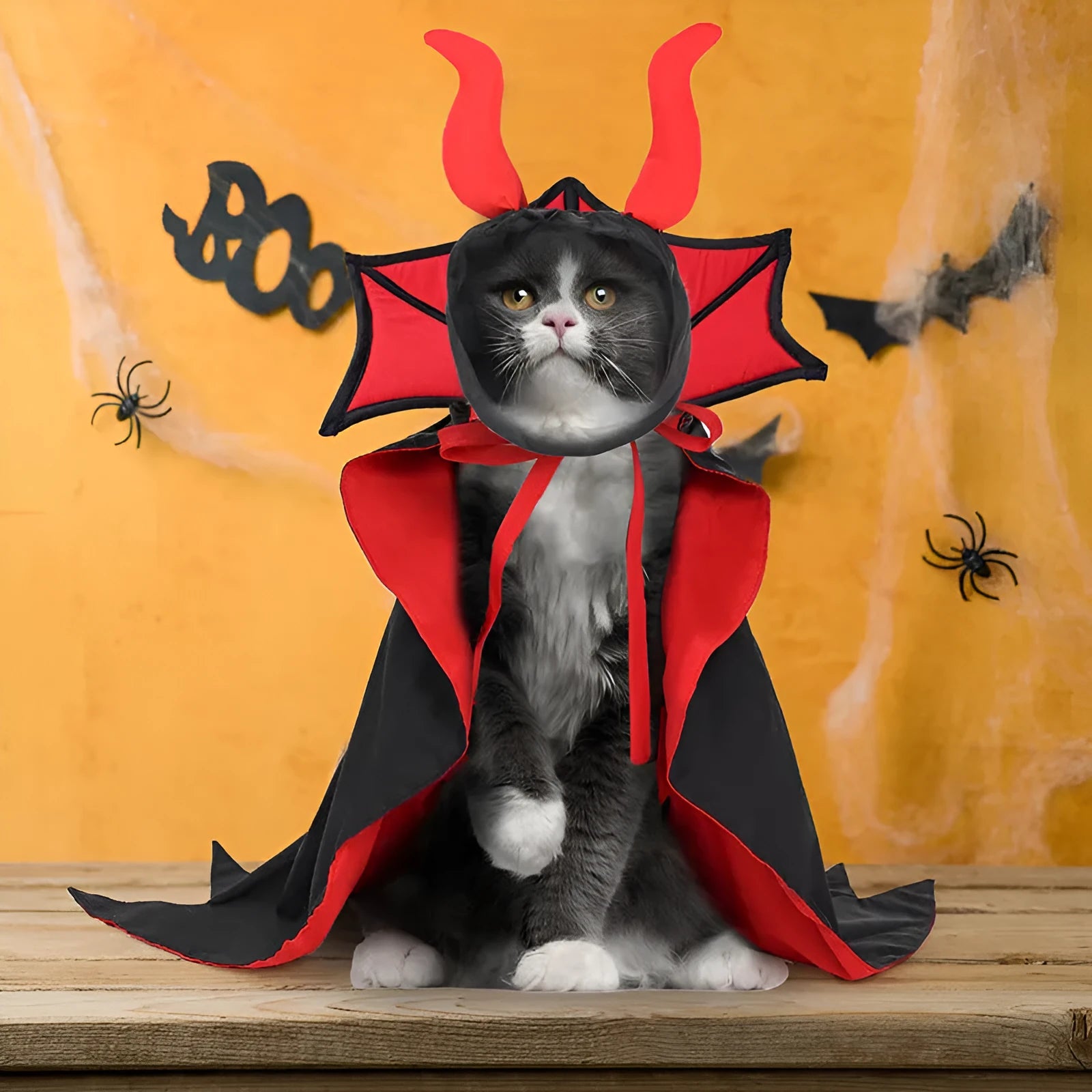 Black polyester vampire costume with cloak and hat for cats or dogs on Halloween