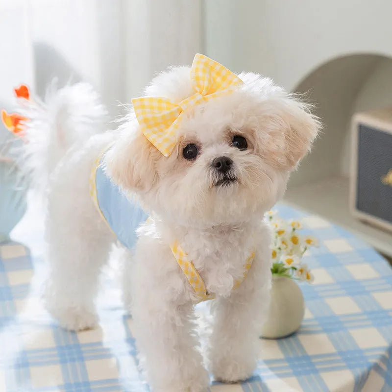 Small dog wearing heart bow suspenders vest with elastic sides in Bondi Blue colour with matching hairband