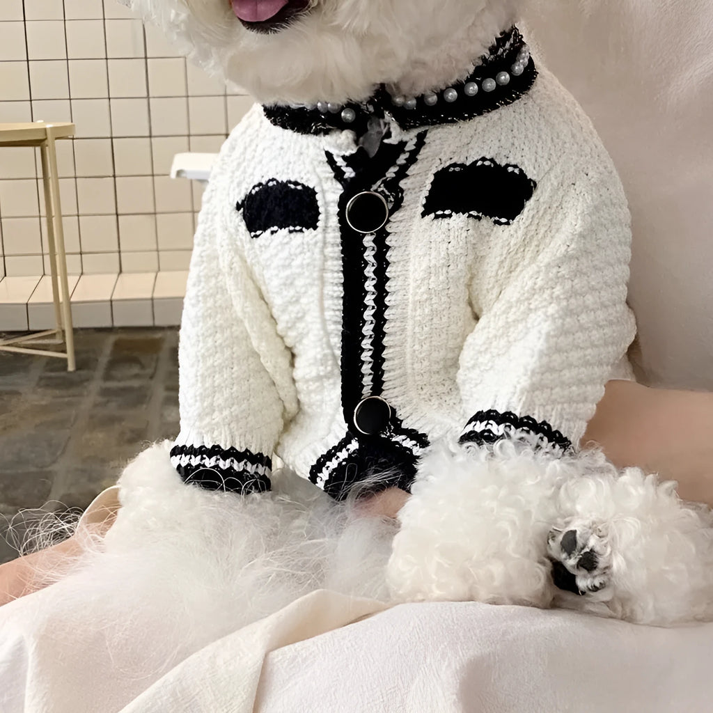 White Korean style dog sweater with pearl collar on a small dog, showing Princess design