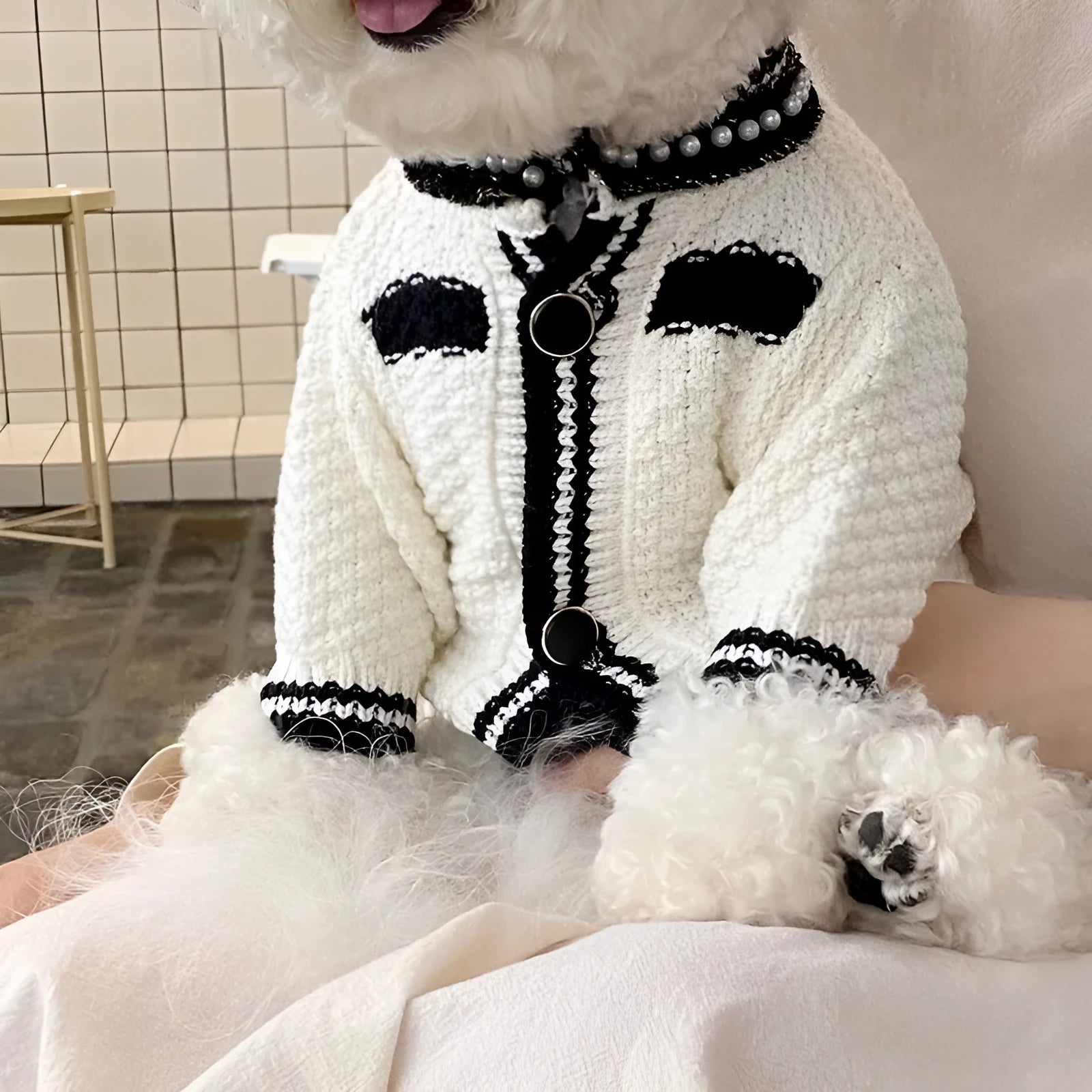 White Korean style dog sweater with pearl collar on a small dog, showing Princess design