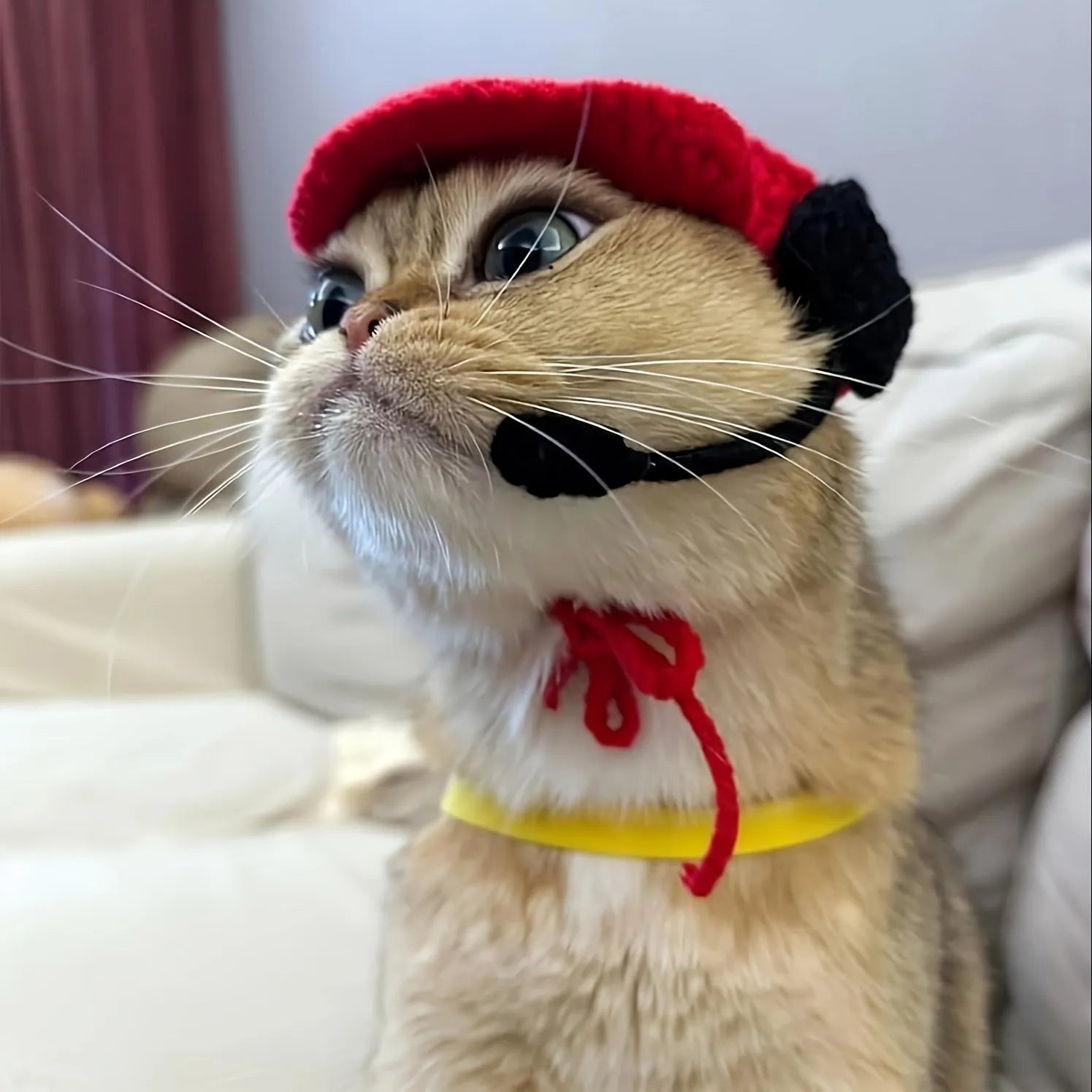 Handmade chef hat and cotton knitted sweater costume for small to medium cats and dogs