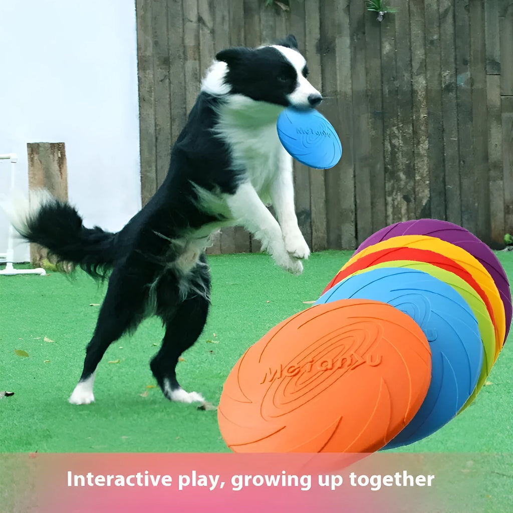 Soft rubber dog frisbee toy for outdoor fetch and walking in blue, green, or red colours.
