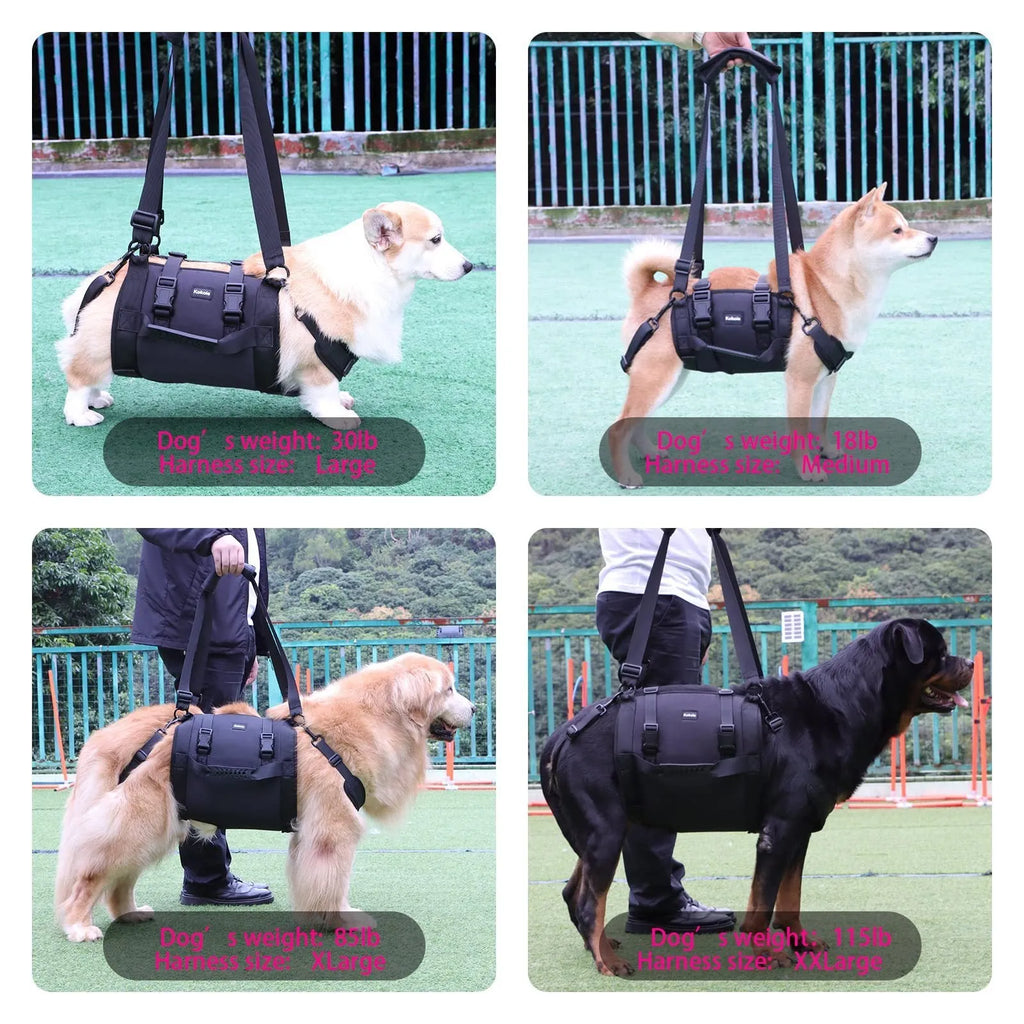 Black Oxford cloth dog support harness for rehabilitation and controlled walking, showing breast strap design.