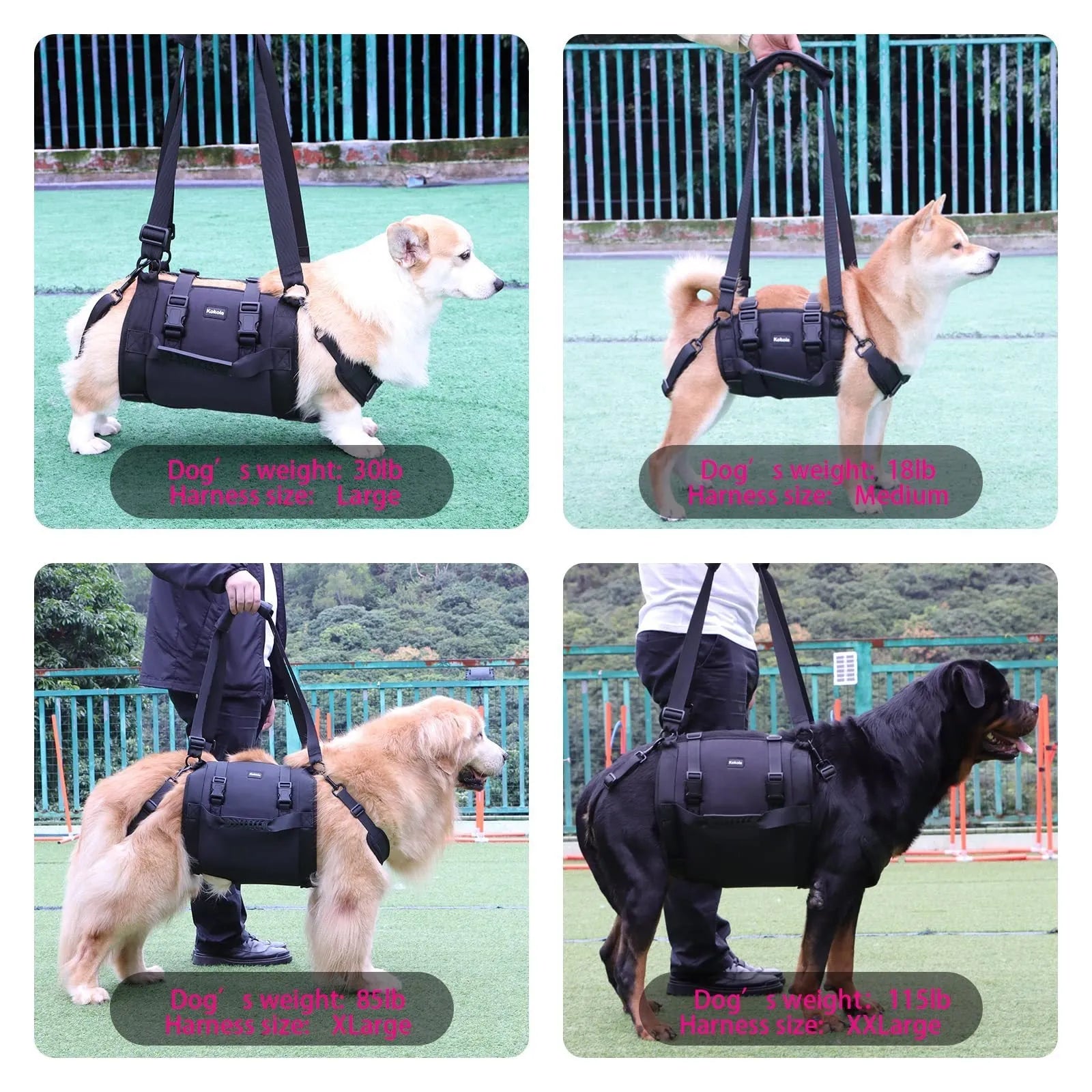 Black Oxford cloth dog support harness for rehabilitation and controlled walking, showing breast strap design.