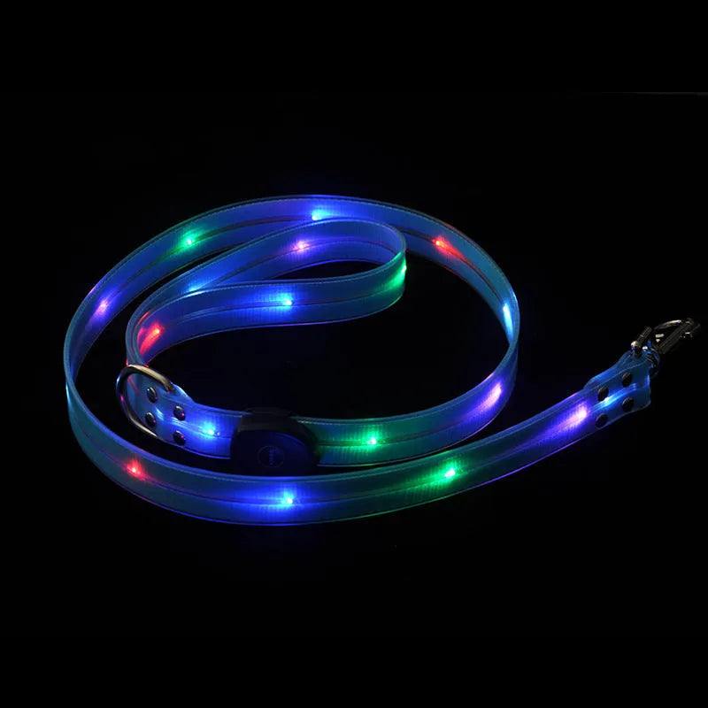 Luminous PVC dog collar with pet rope lead in fluorescent green colour option