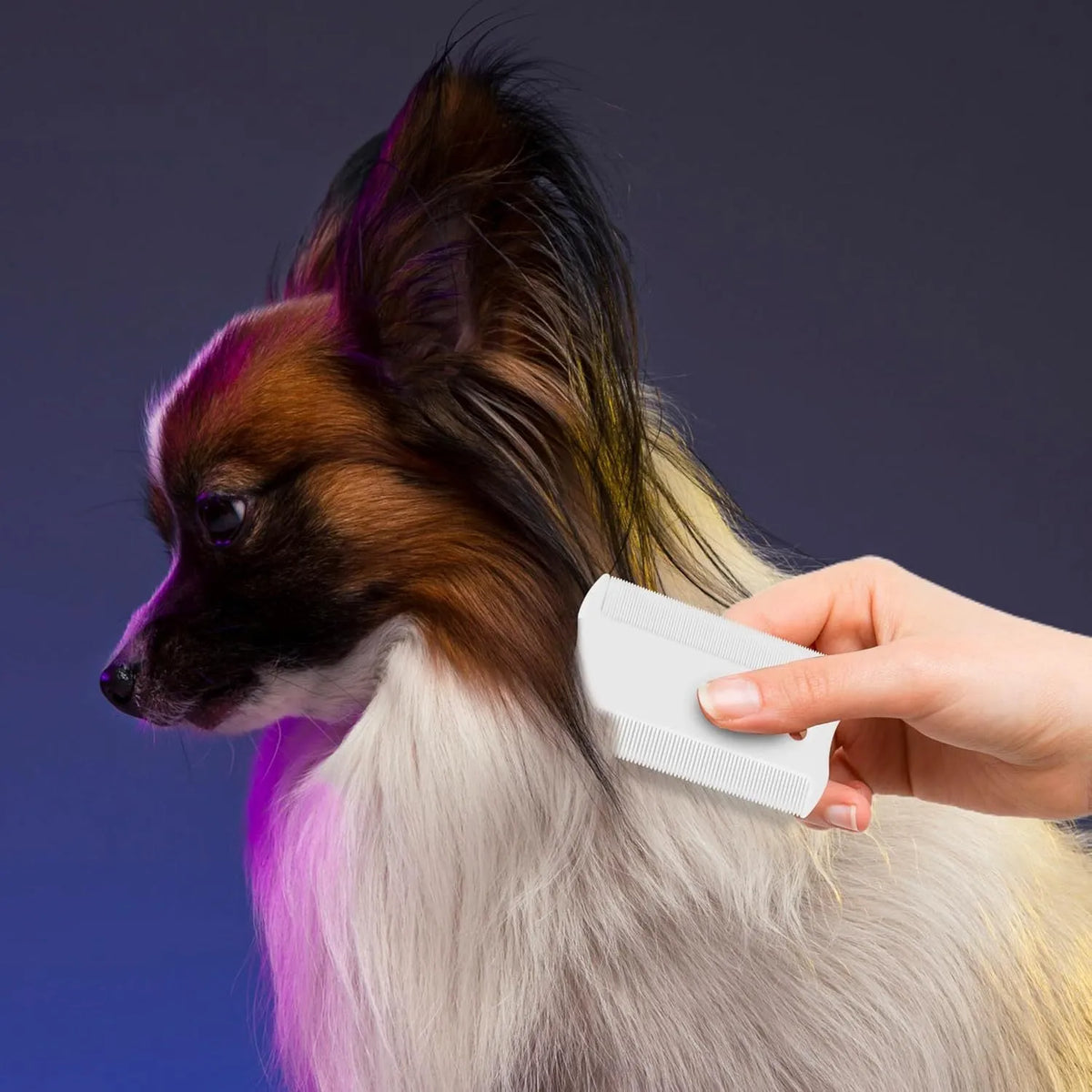 Double-sided plastic flea comb for pets showing dense teeth and compact size
